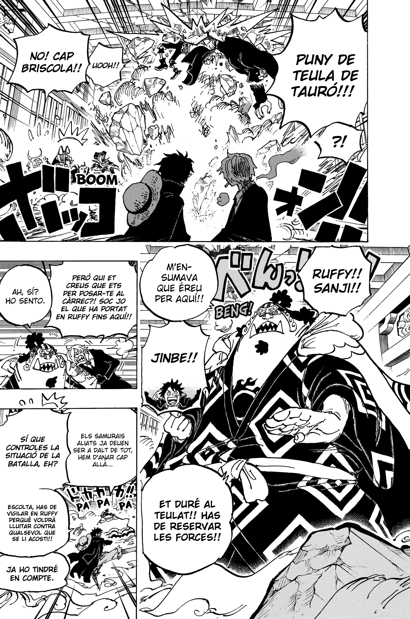Read One Piece CAT Manga Online