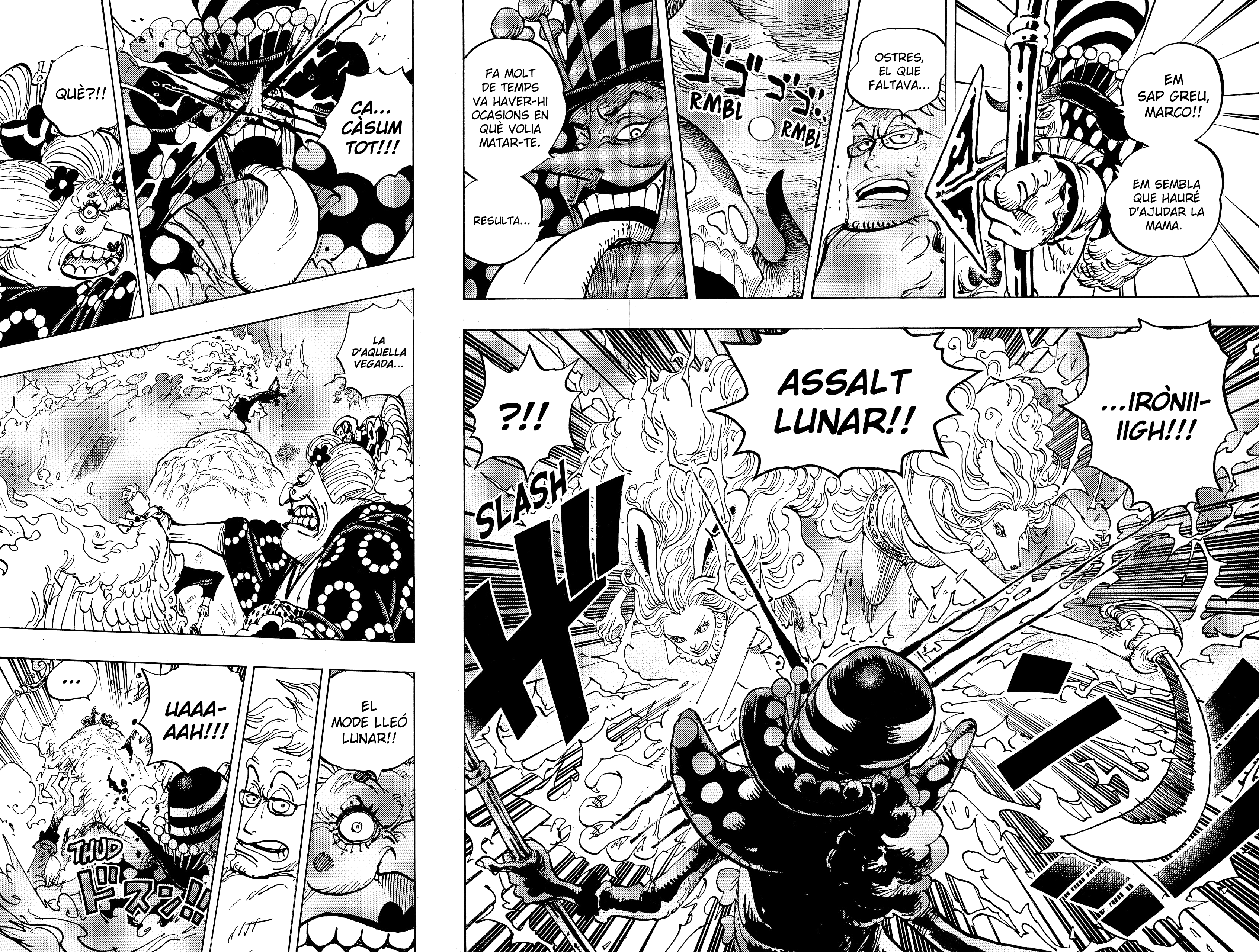 Read One Piece CAT Manga Online