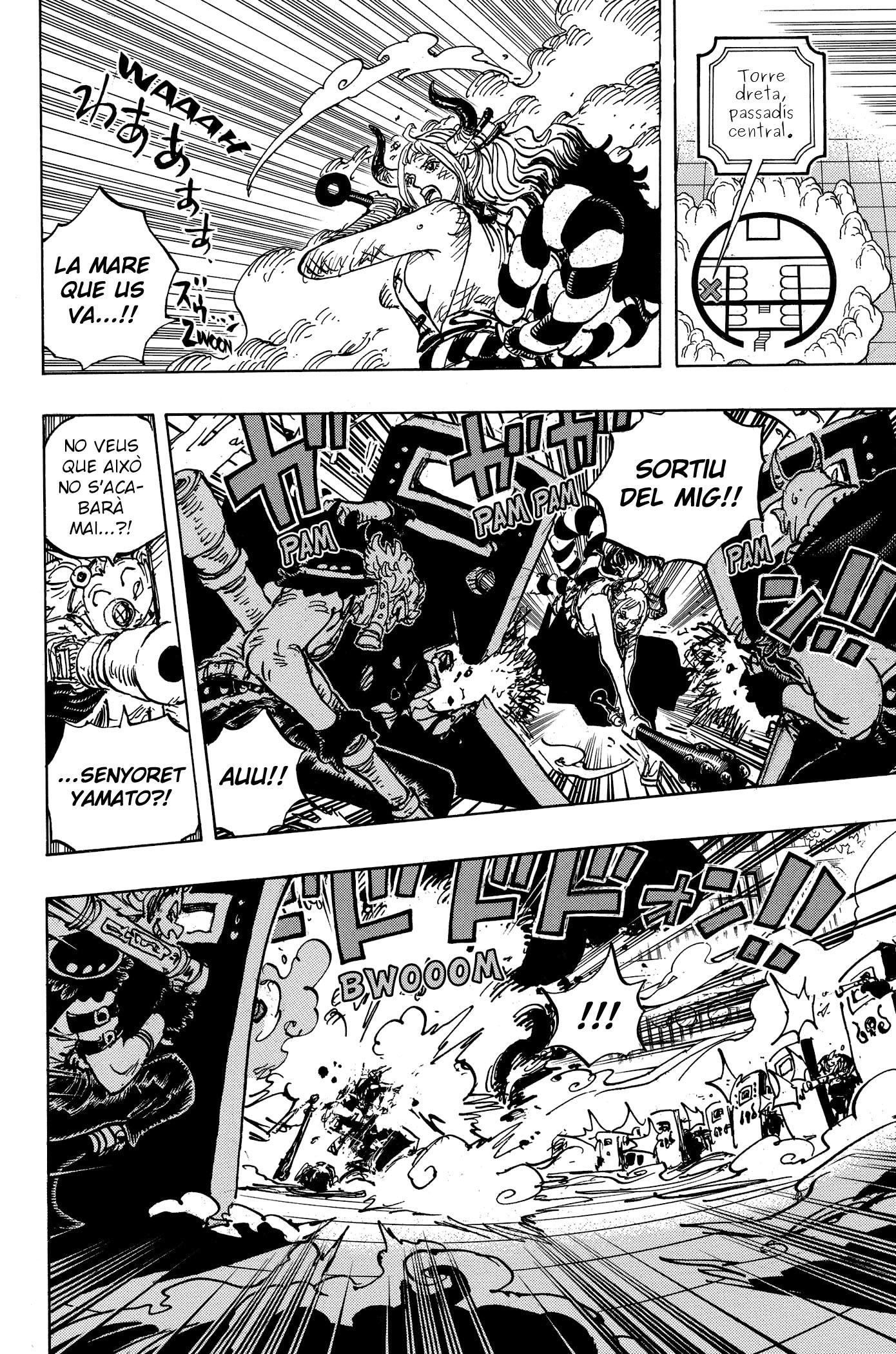 Read One Piece CAT Manga Online