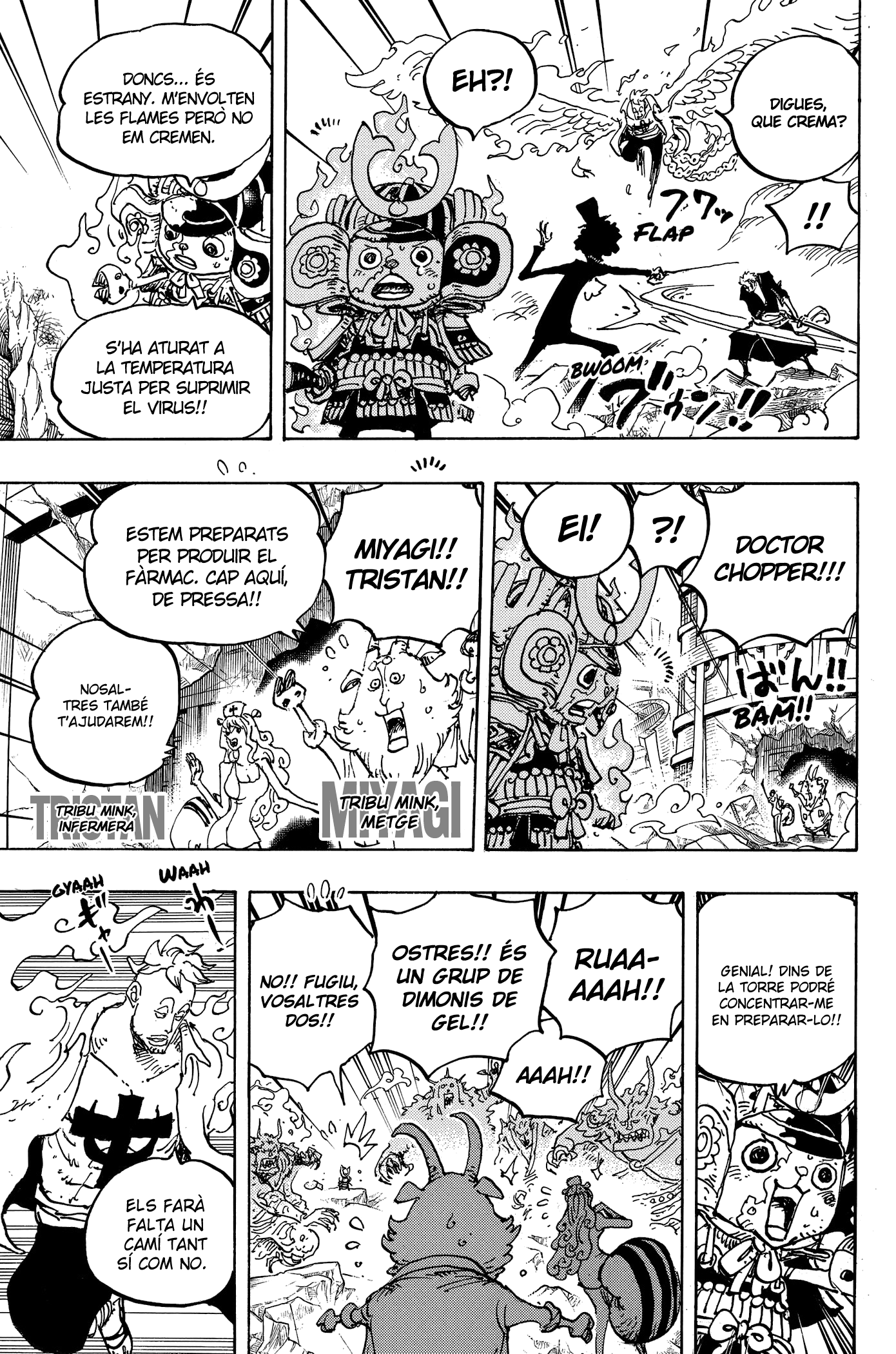 Read One Piece CAT Manga Online