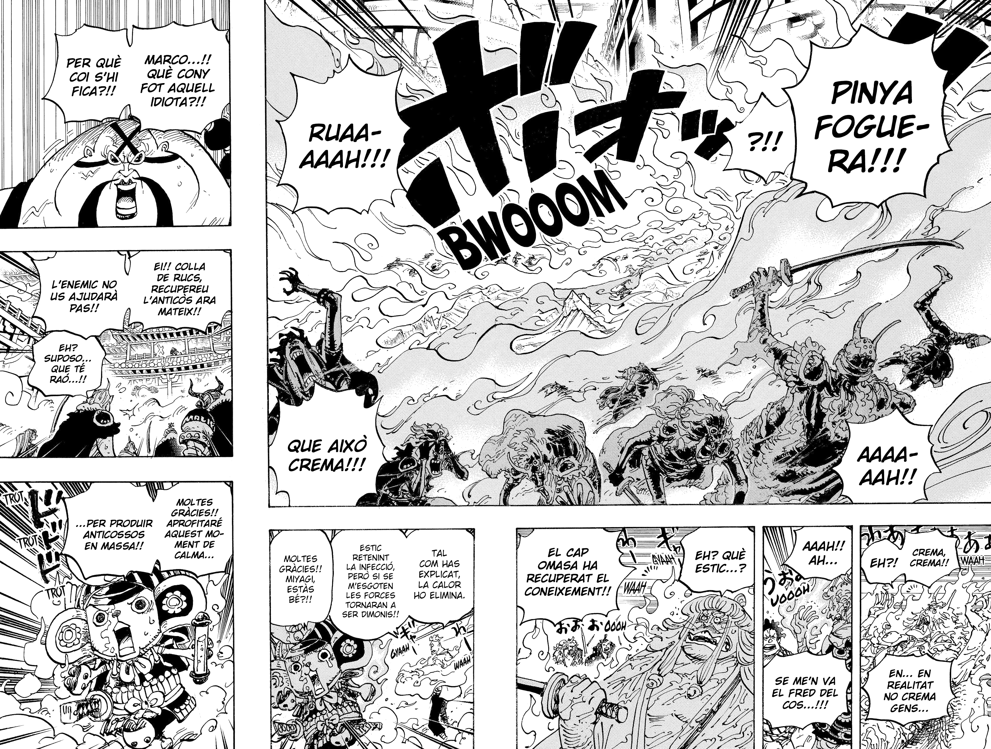 Read One Piece CAT Manga Online