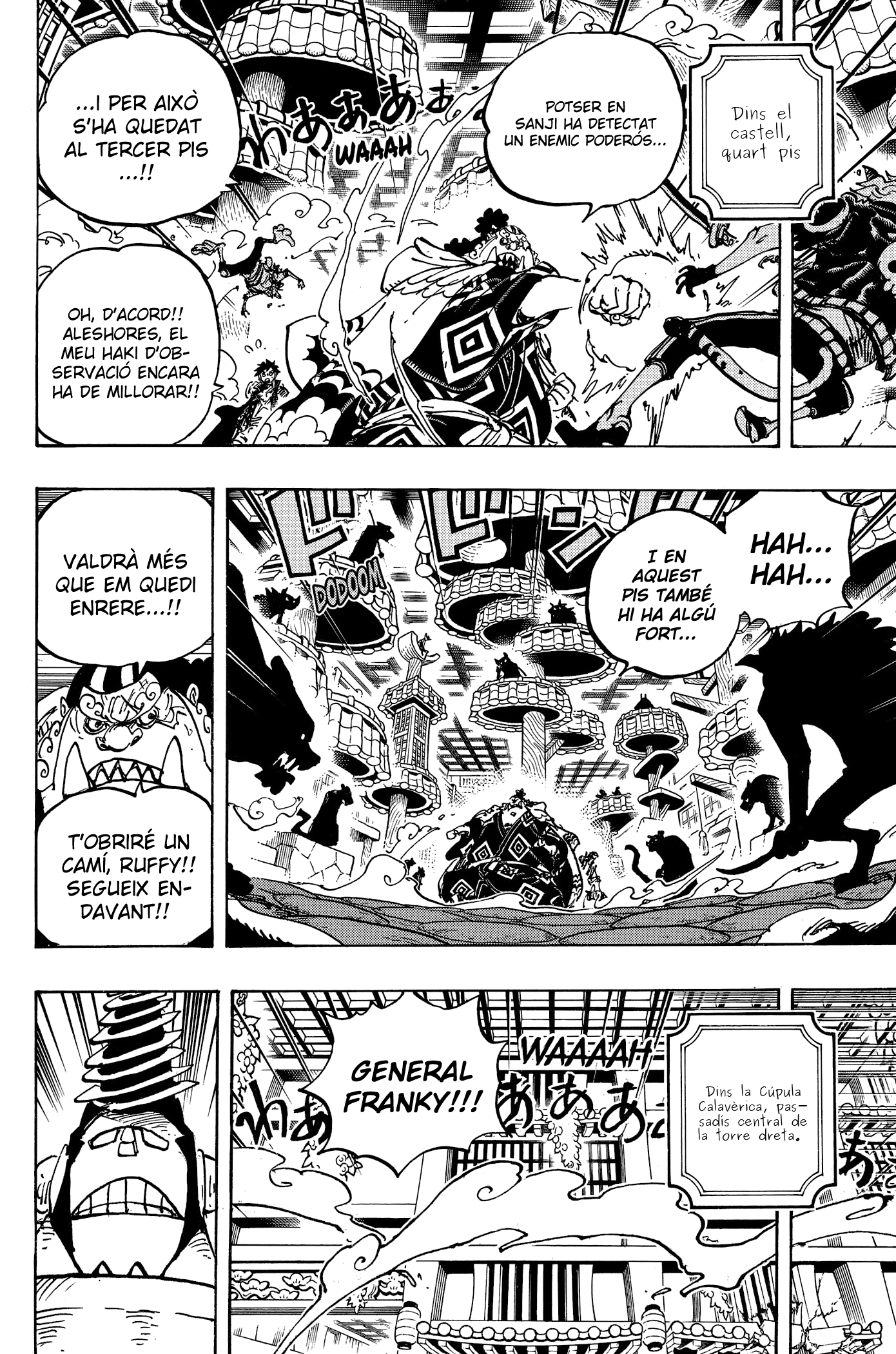Read One Piece CAT Manga Online