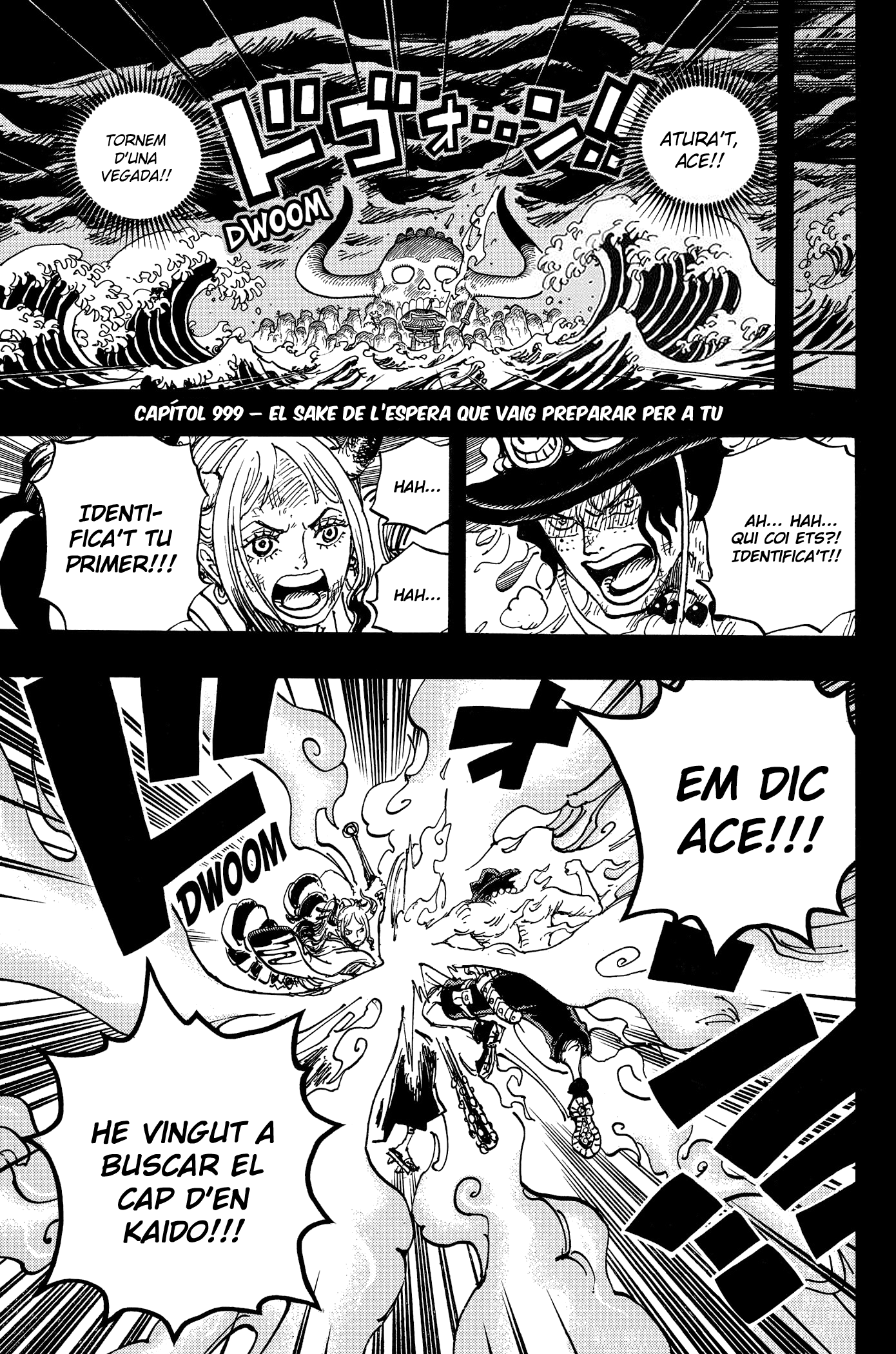 Read One Piece CAT Manga Online