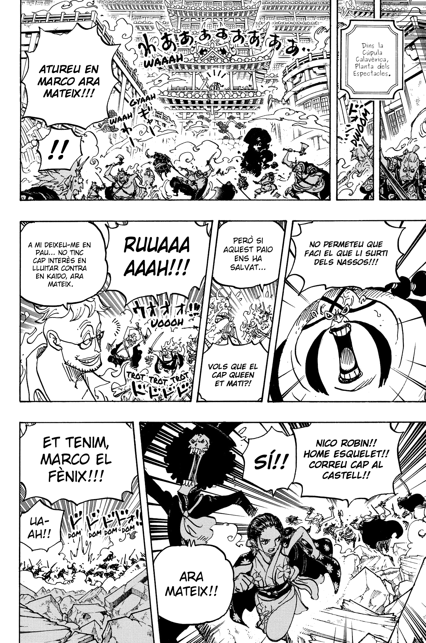 Read One Piece CAT Manga Online