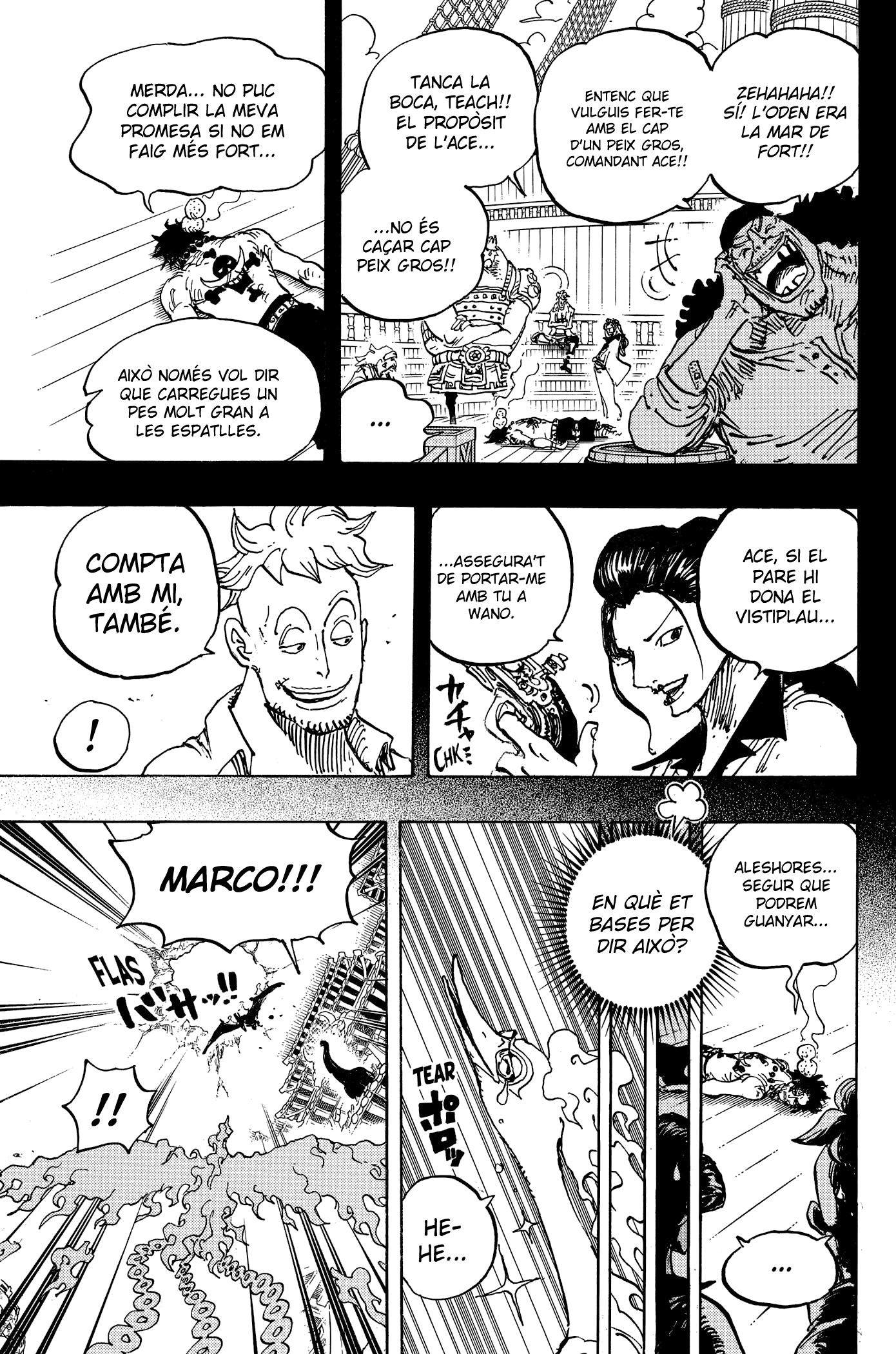 Read One Piece CAT Manga Online