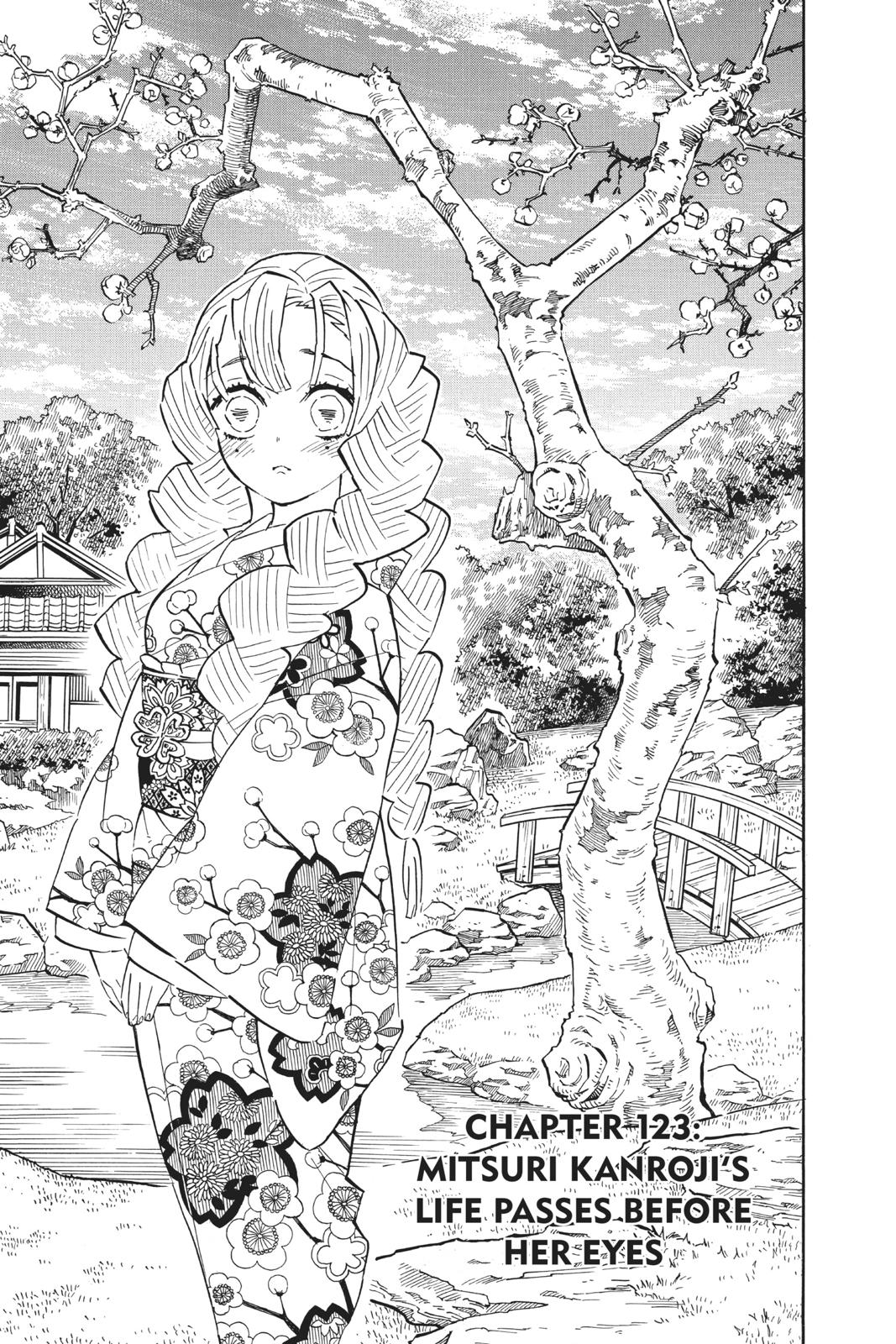 Read Demon Slayer Kimetsu no Yaiba Manga Online