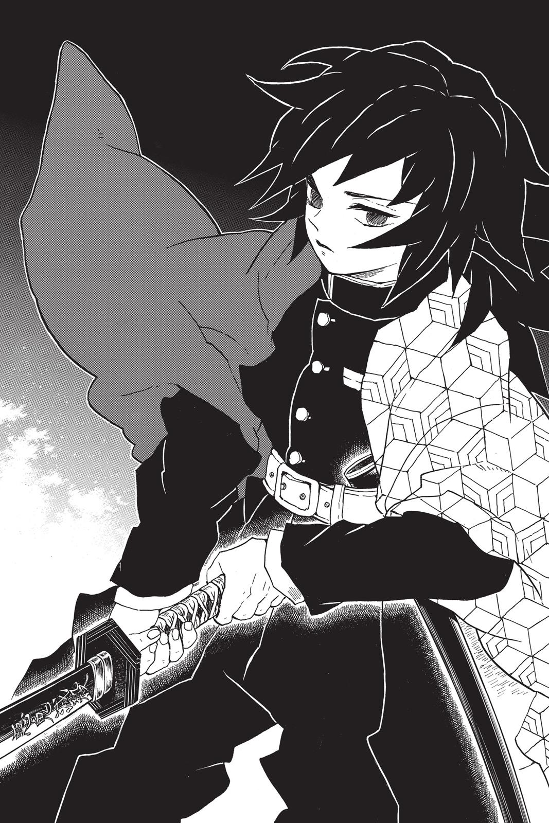 Read Demon Slayer Kimetsu no Yaiba Manga Online
