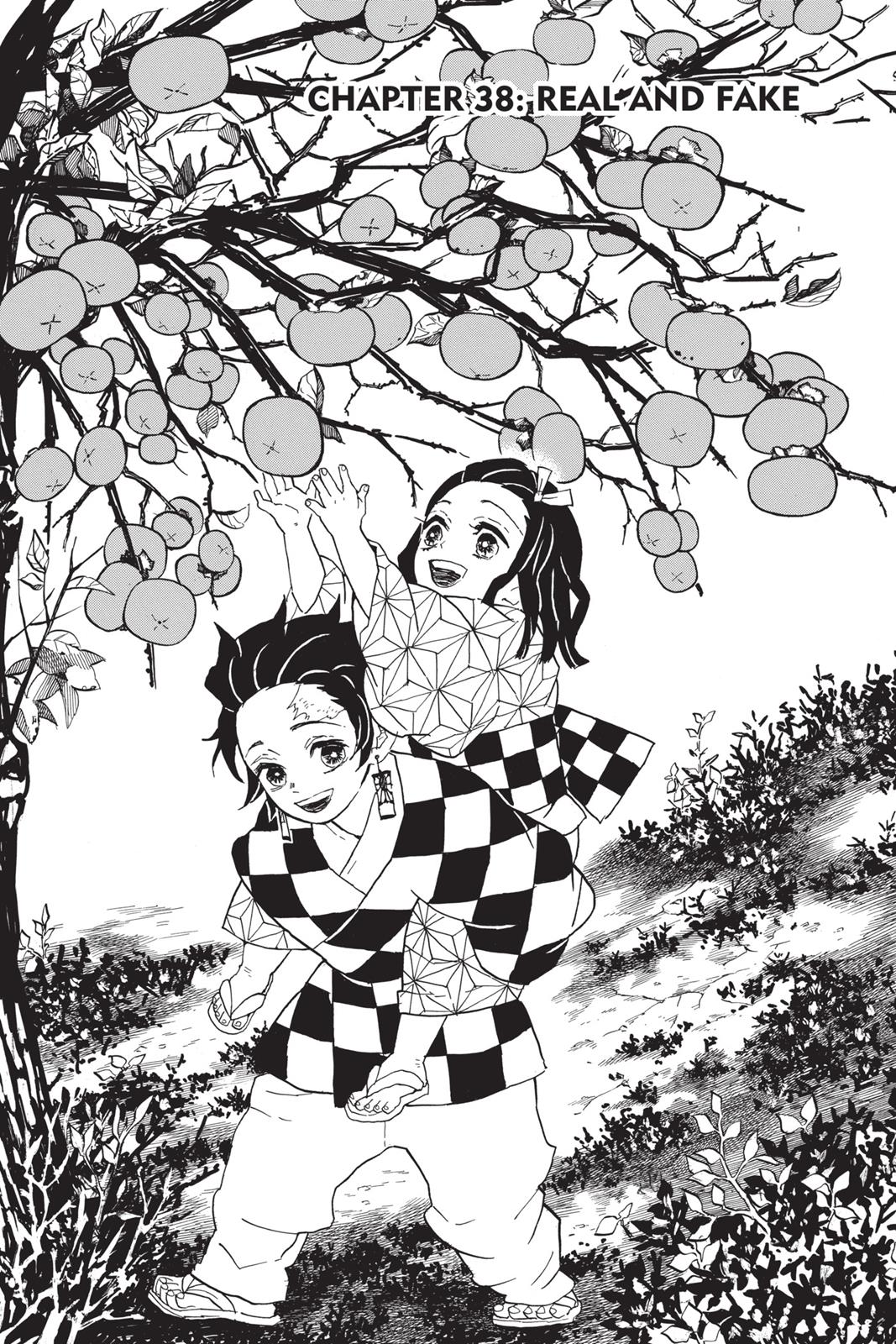 Read Demon Slayer Kimetsu no Yaiba Manga Online