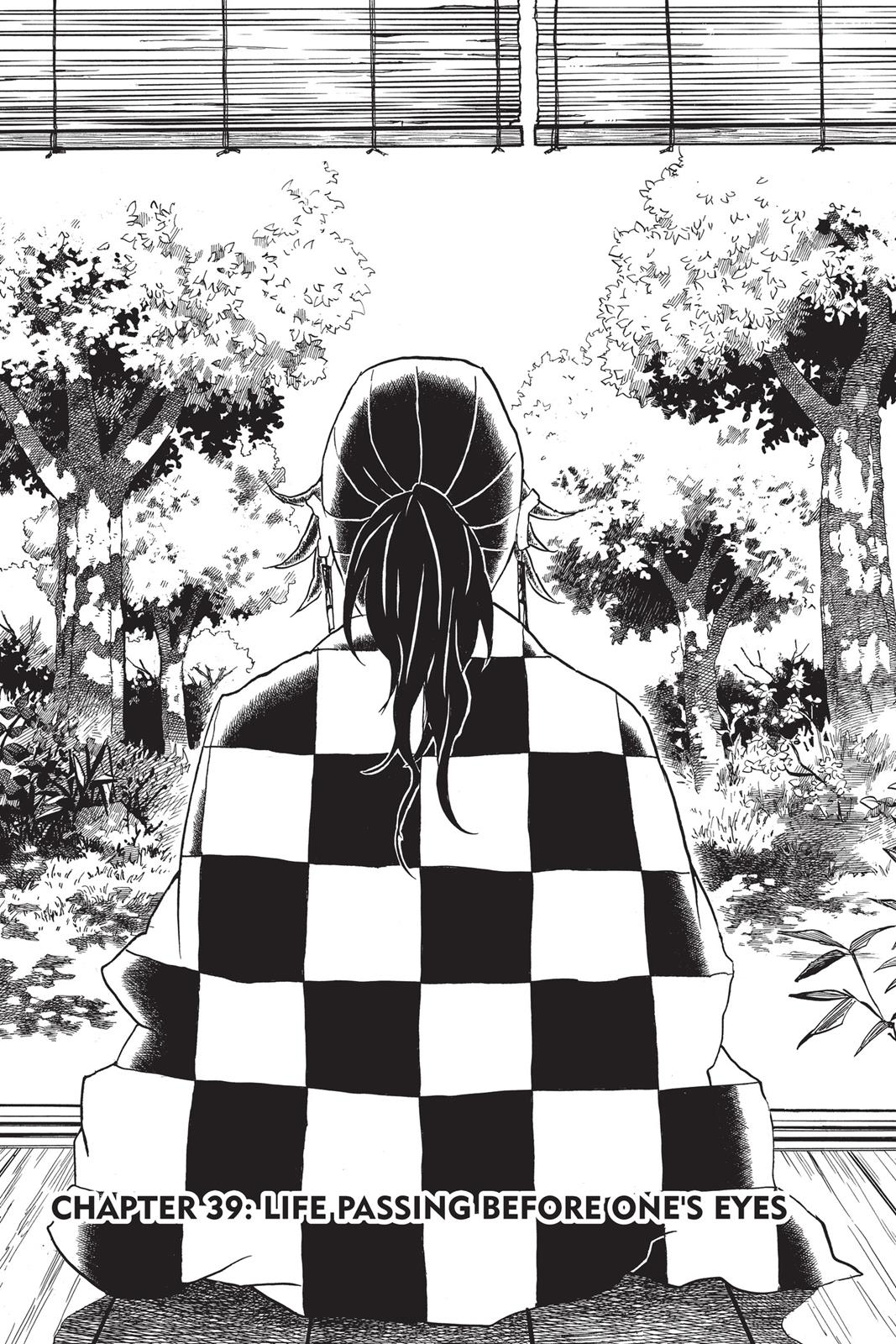 Read Demon Slayer Kimetsu no Yaiba Manga Online