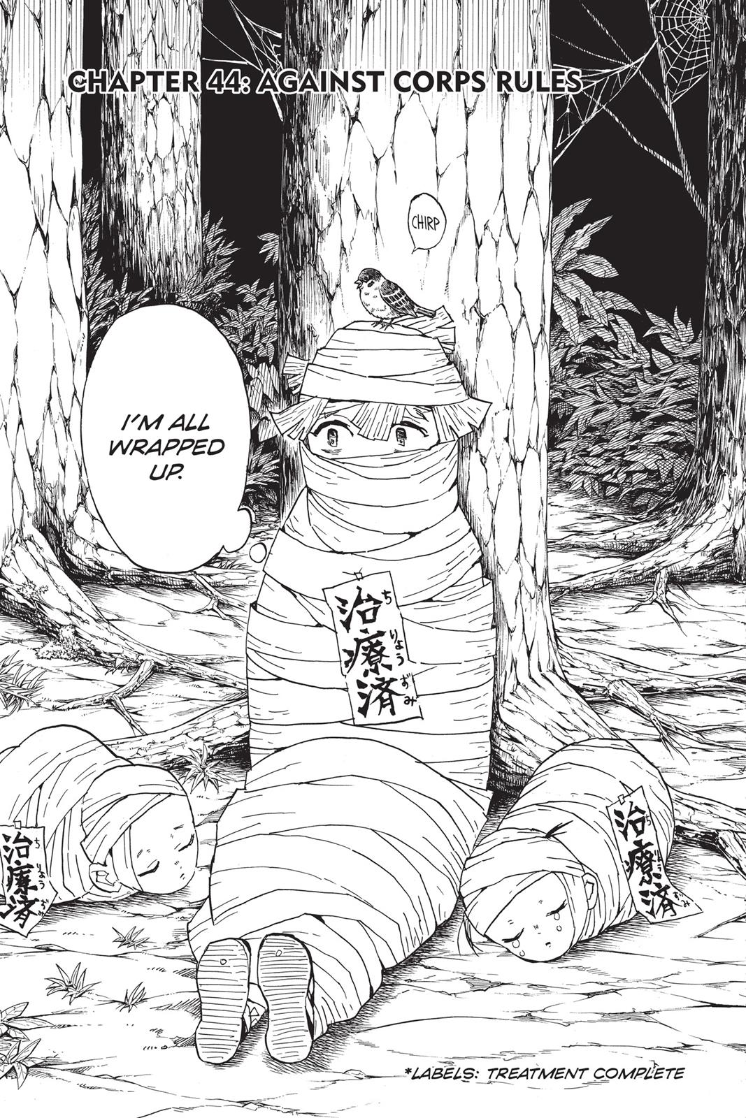 Read Demon Slayer Kimetsu no Yaiba Manga Online