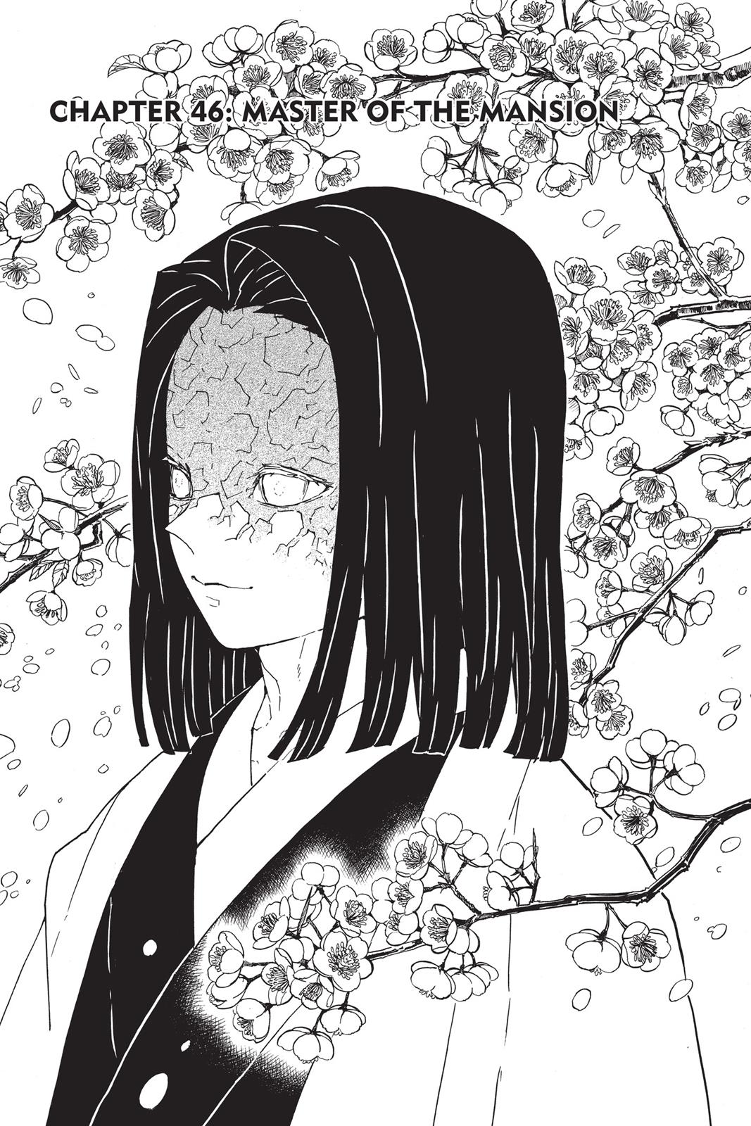 Read Demon Slayer Kimetsu no Yaiba Manga Online