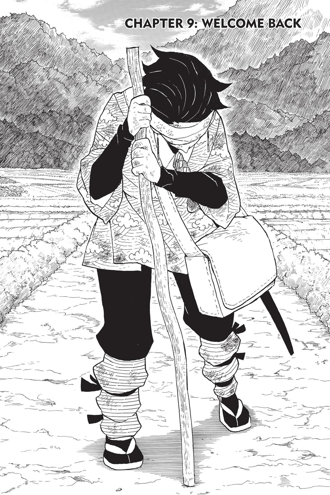 Read Demon Slayer Kimetsu no Yaiba Manga Online
