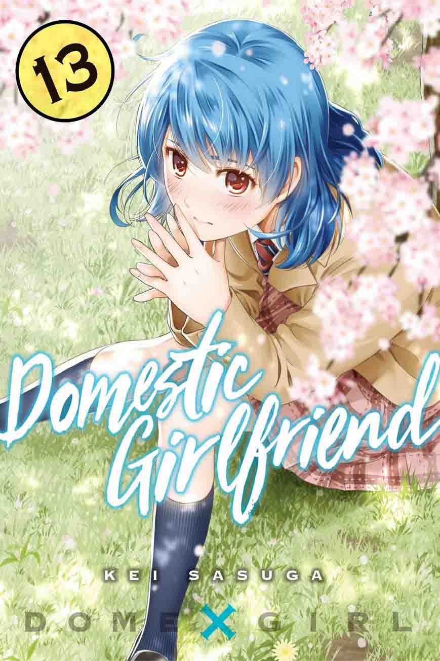 Read Domestic na Kanojo Manga Online