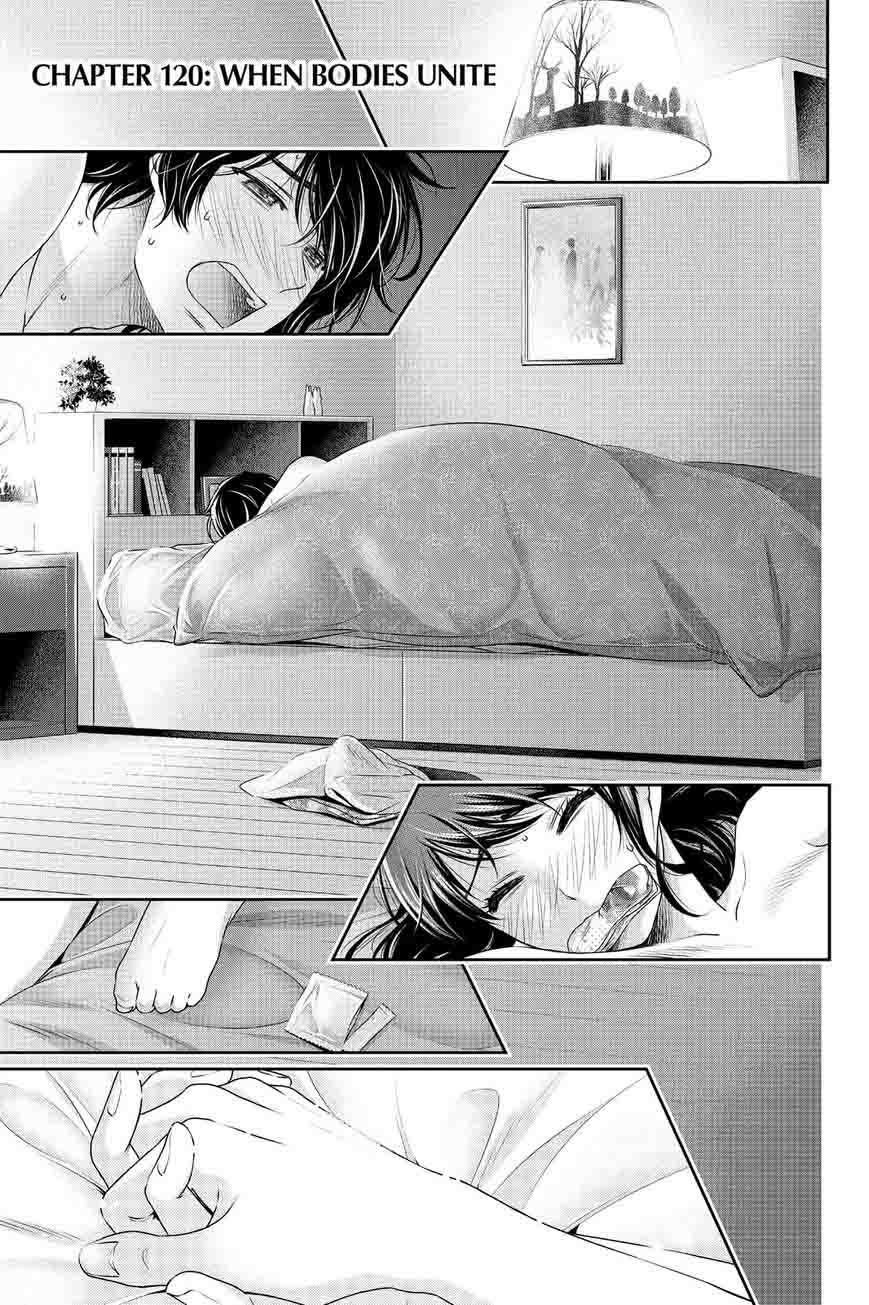 Read Domestic na Kanojo Manga Online