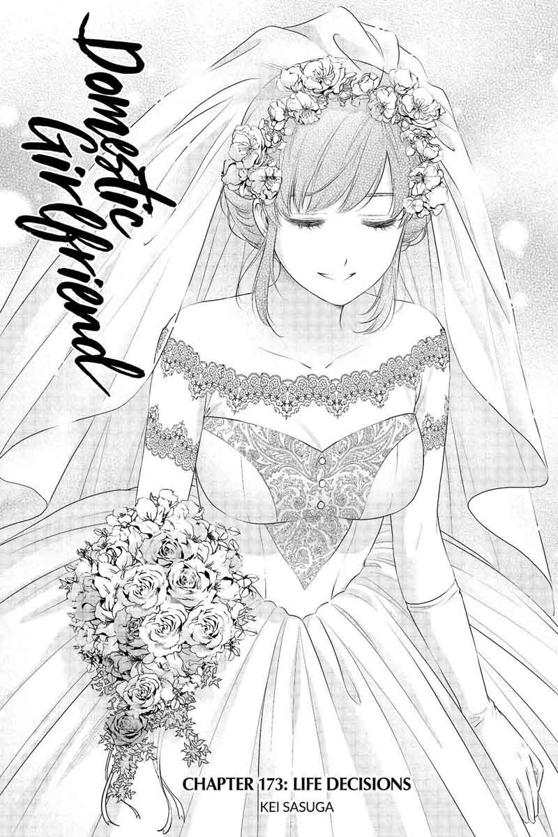 Read Domestic na Kanojo Manga Online
