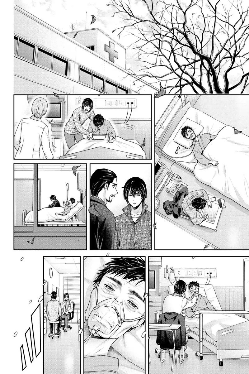 Read Domestic na Kanojo Manga Online