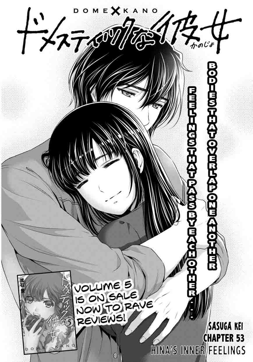 Read Domestic na Kanojo Manga Online