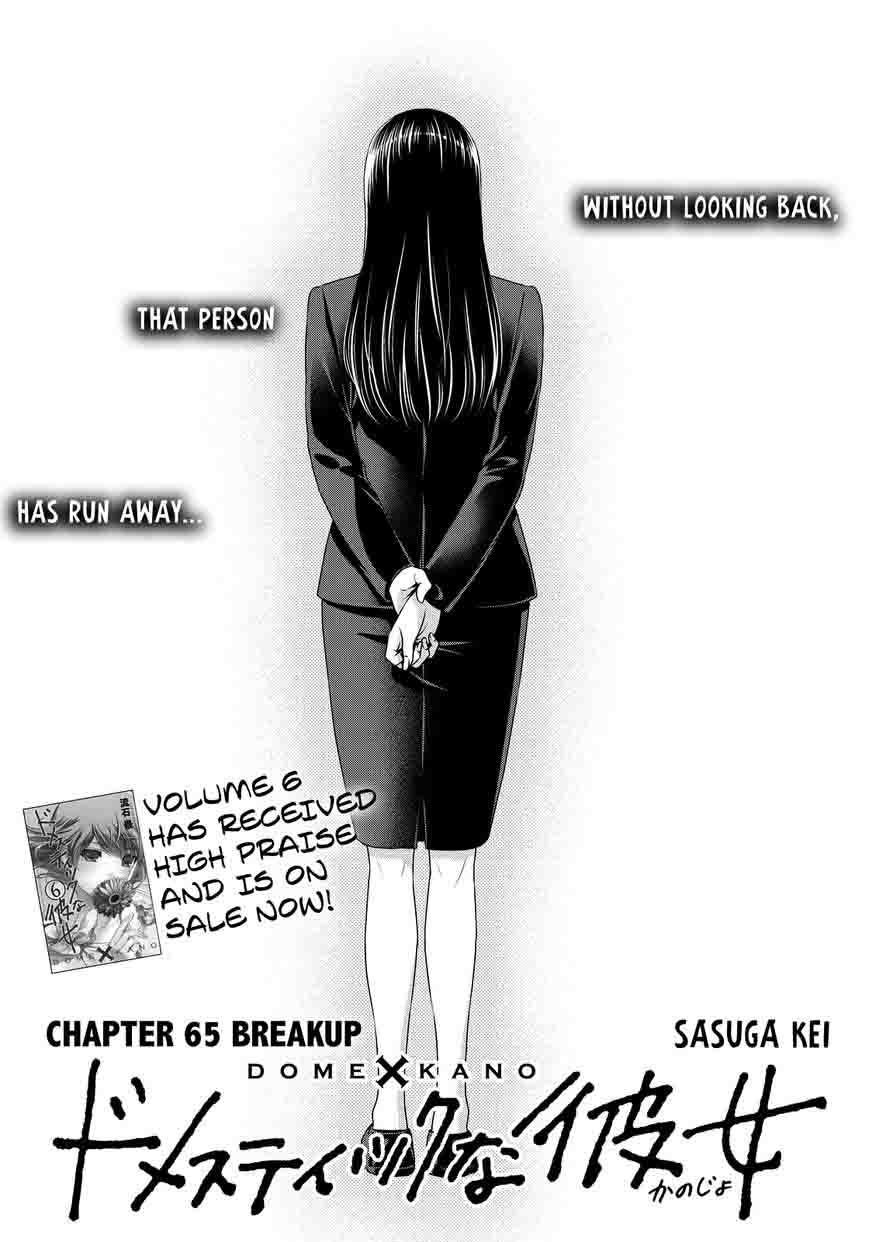 Read Domestic na Kanojo Manga Online