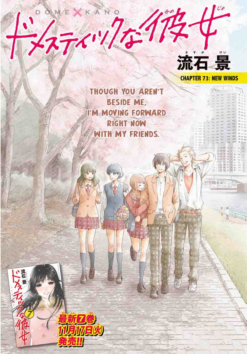 Read Domestic na Kanojo Manga Online