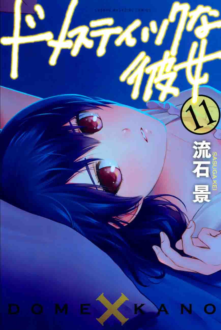 Read Domestic na Kanojo Manga Online