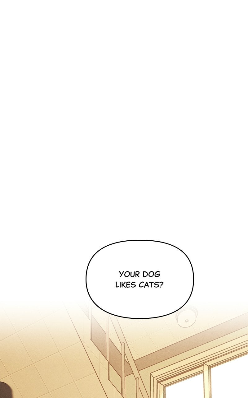Read Falling for It Manga Online