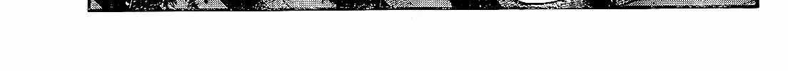 Read Komi-San Wa Komyushou Desu Manga Online