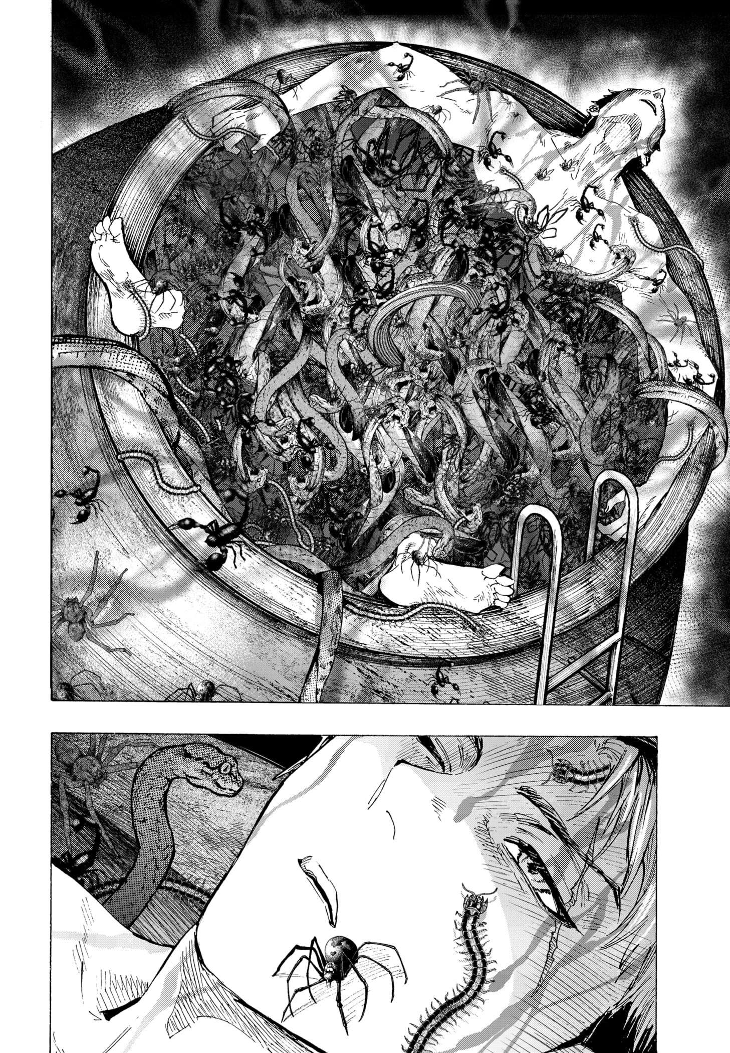 Read Marriage Toxin Manga Online