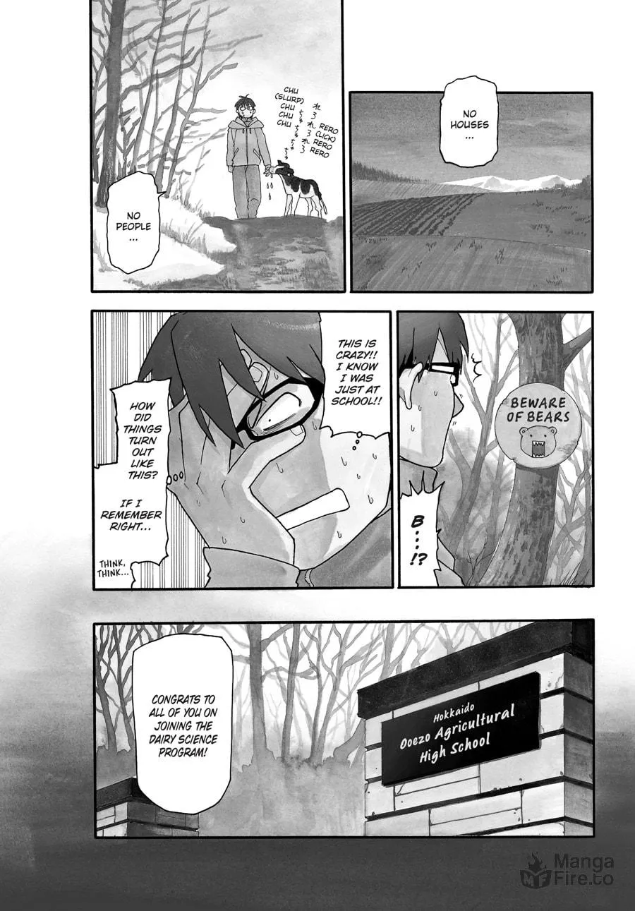 Read Silver Spoon Manga Online