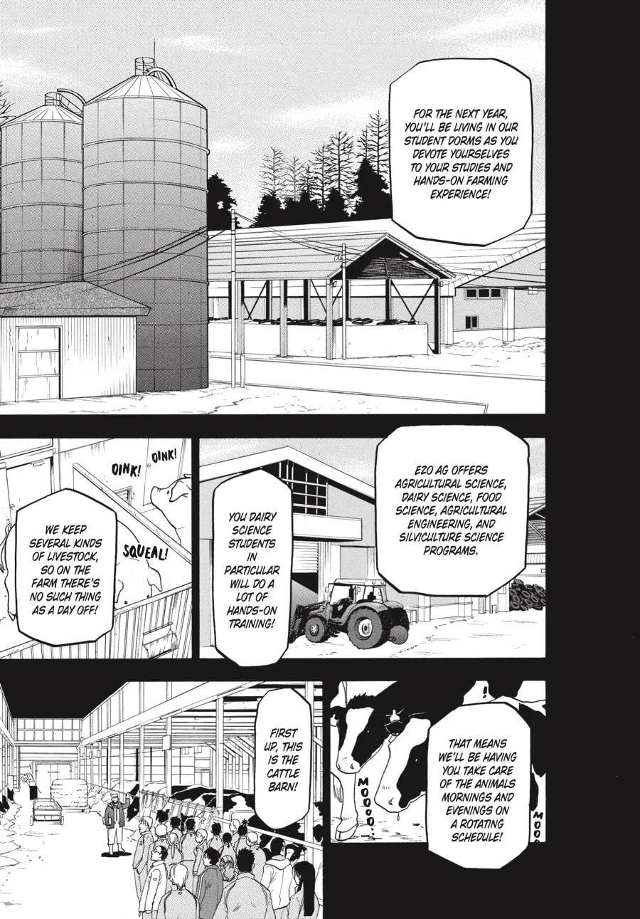 Read Silver Spoon Manga Online