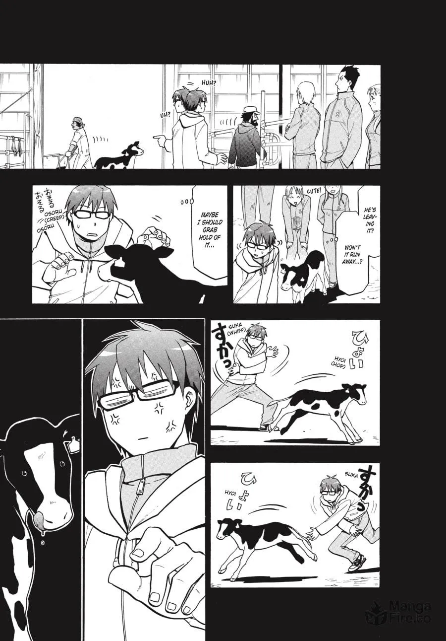 Read Silver Spoon Manga Online