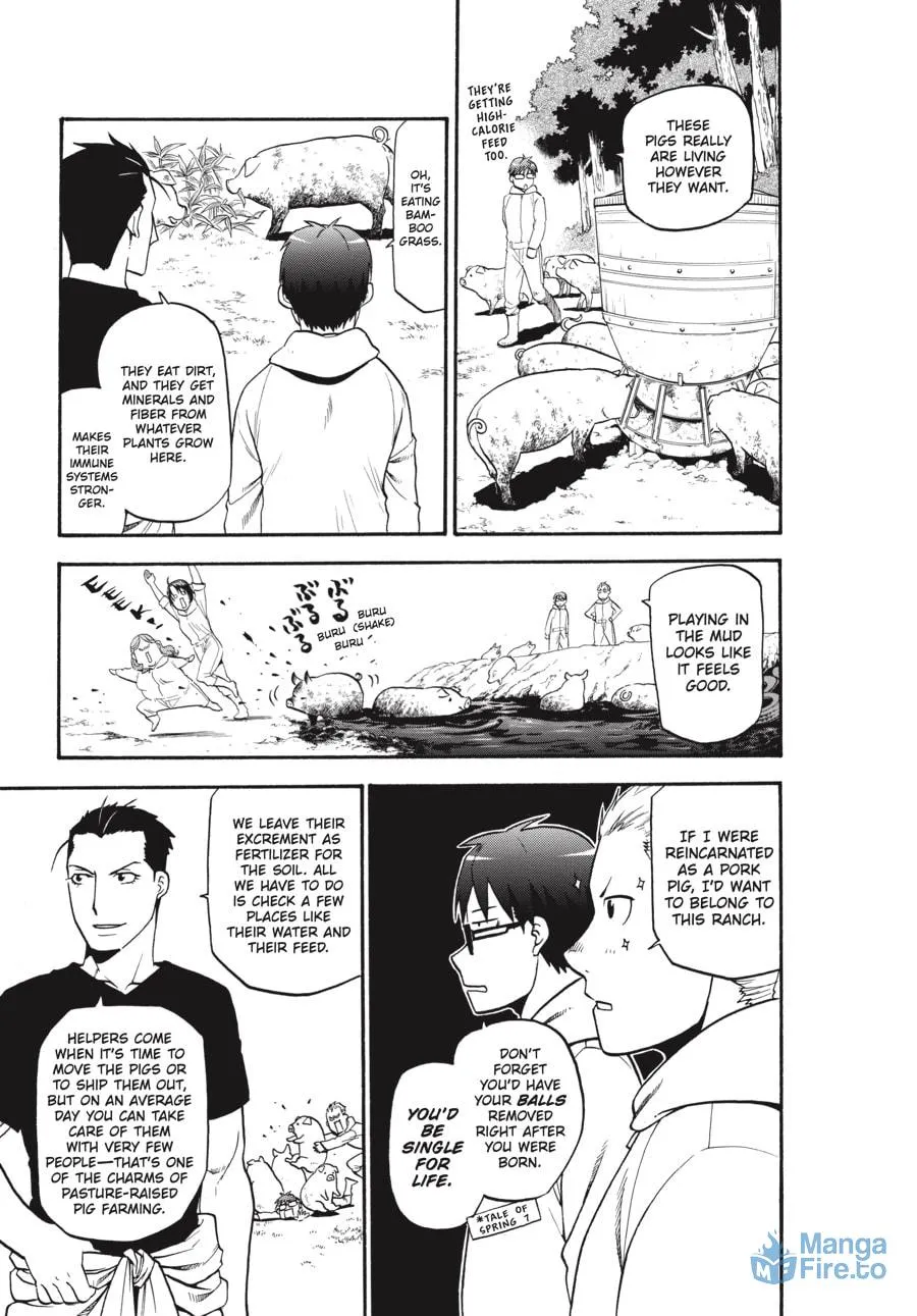 Read Silver Spoon Manga Online