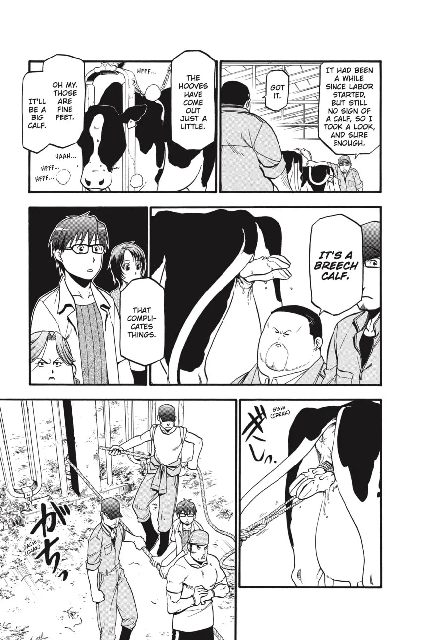 Read Silver Spoon Manga Online