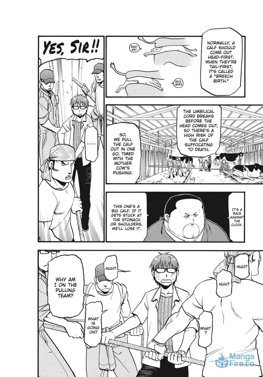 Read Silver Spoon Manga Online