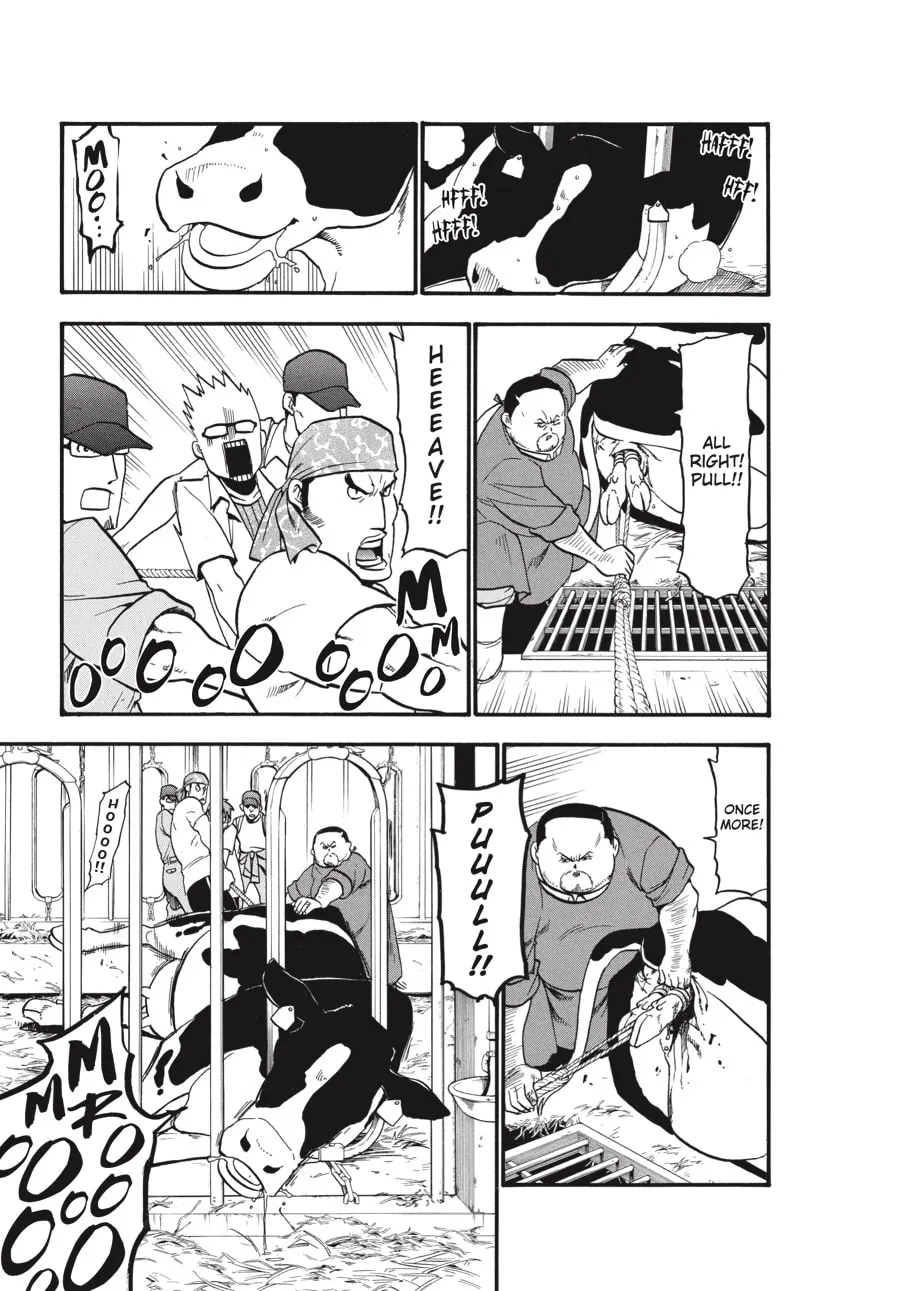 Read Silver Spoon Manga Online