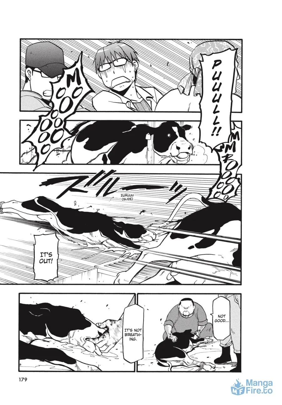 Read Silver Spoon Manga Online
