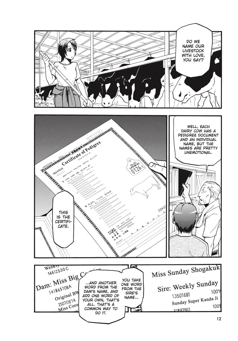 Read Silver Spoon Manga Online