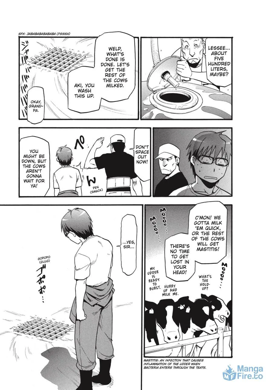 Read Silver Spoon Manga Online
