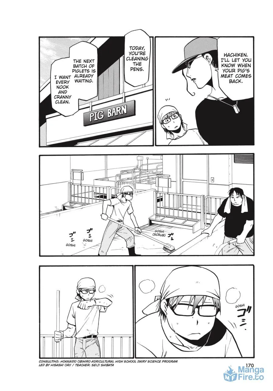Read Silver Spoon Manga Online