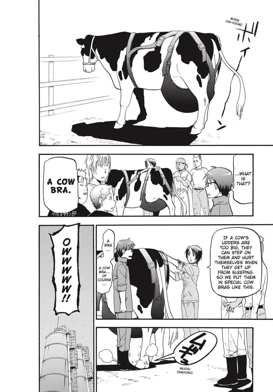 Read Silver Spoon Manga Online
