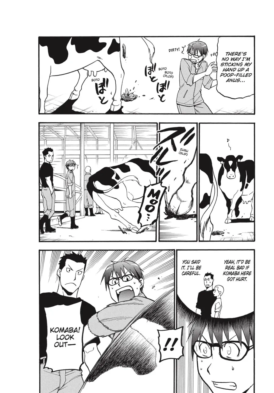 Read Silver Spoon Manga Online