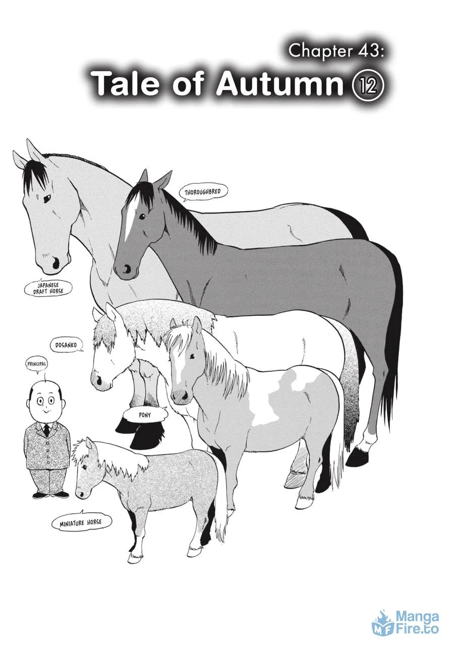 Read Silver Spoon Manga Online