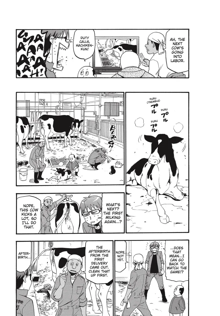 Read Silver Spoon Manga Online