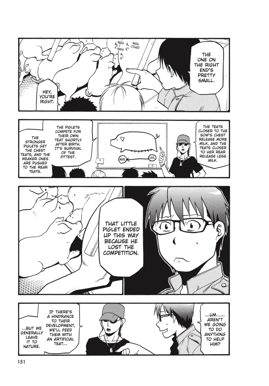 Read Silver Spoon Manga Online