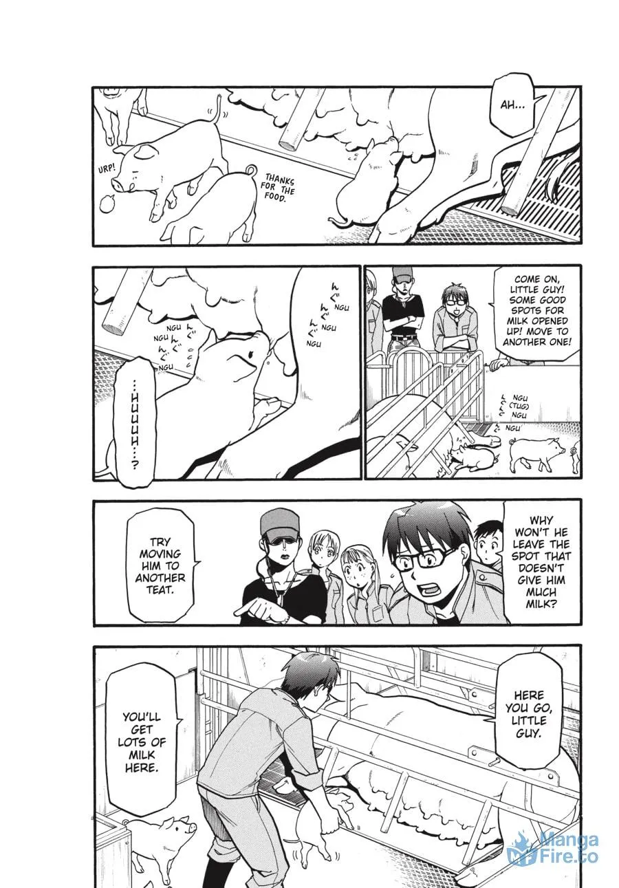 Read Silver Spoon Manga Online