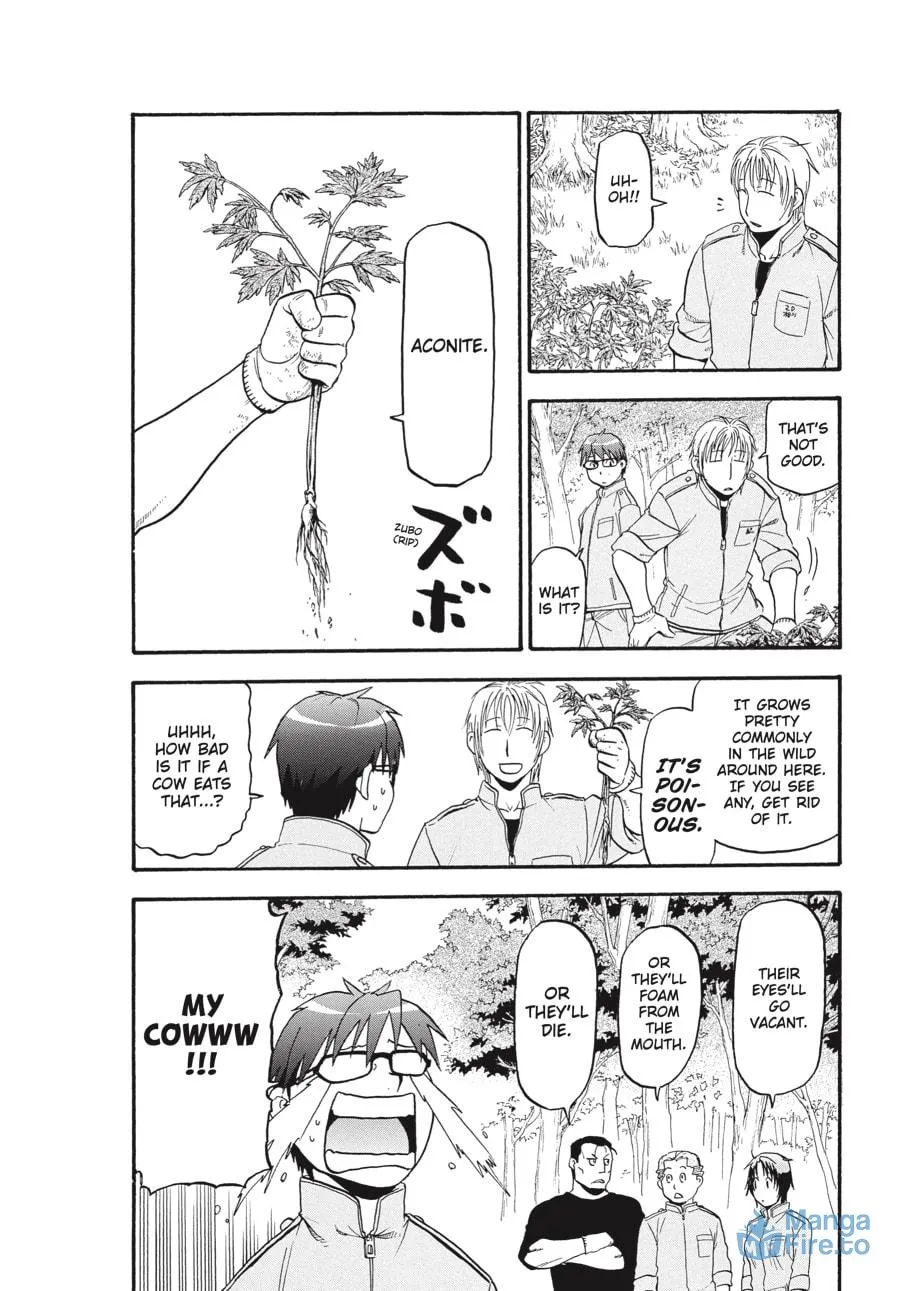 Read Silver Spoon Manga Online