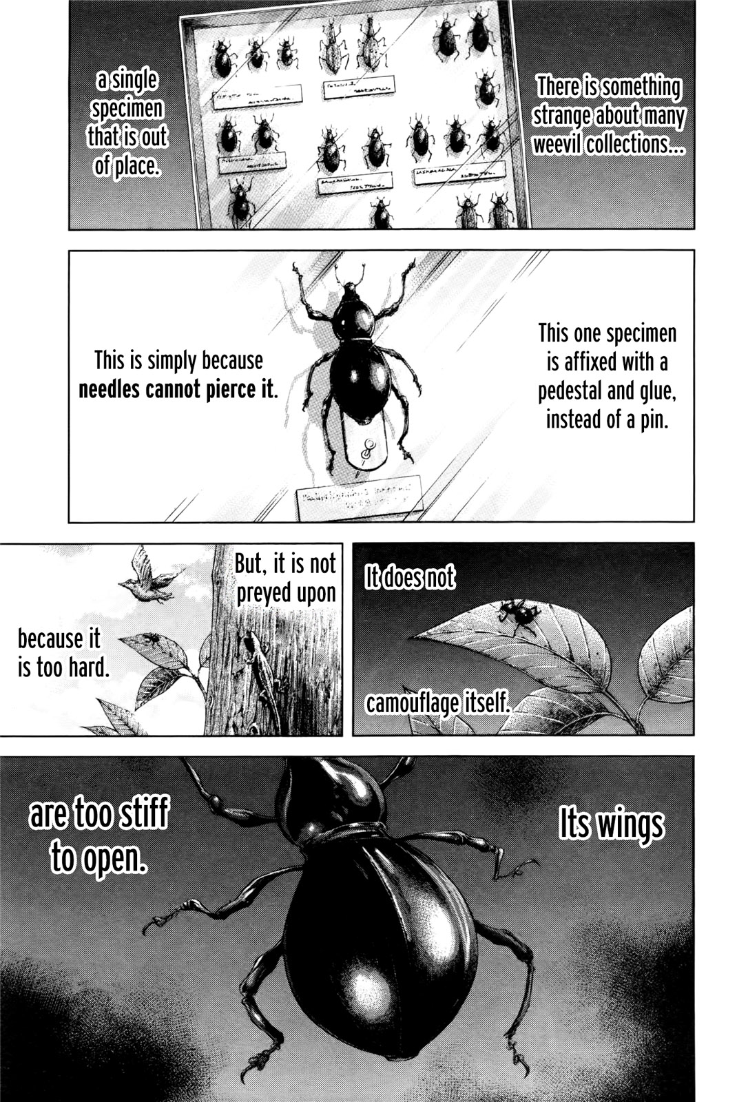 Read Terra Formars Manga Online
