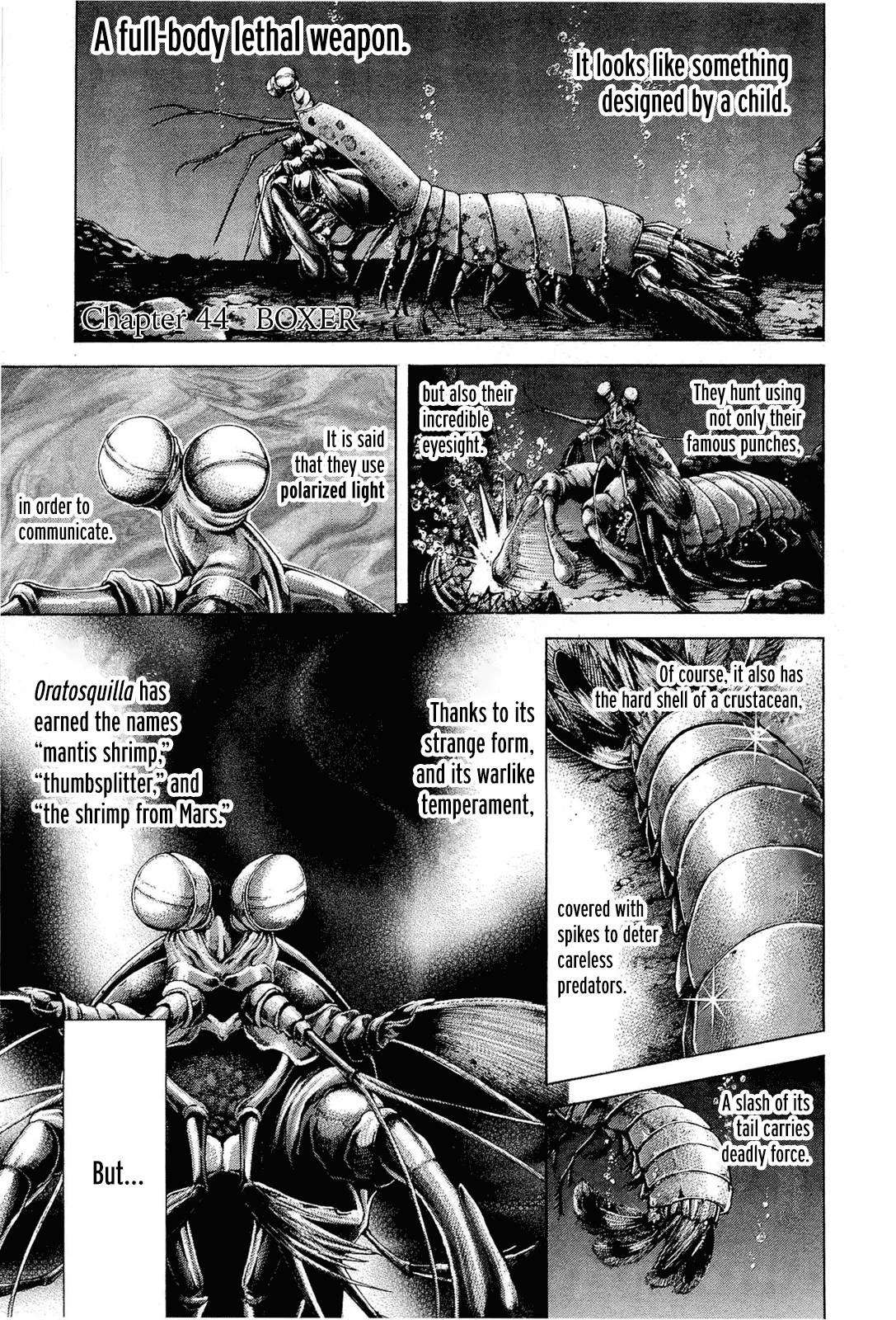 Read Terra Formars Manga Online