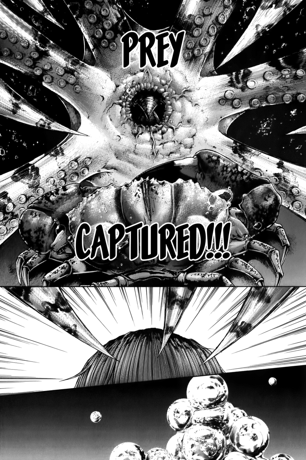 Read Terra Formars Manga Online