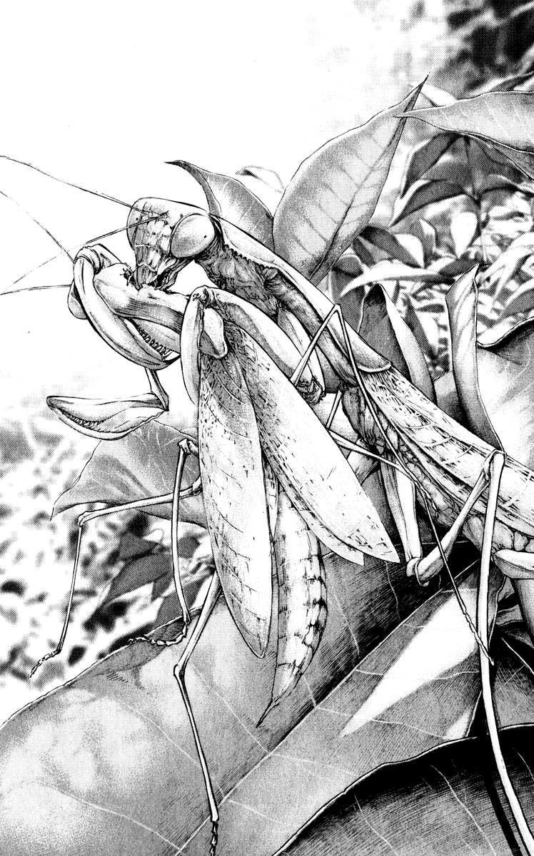 Read The Climber Manga Online