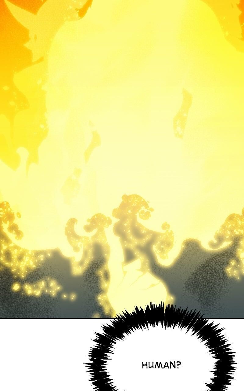 Read The Lone Necromancer Manga Online